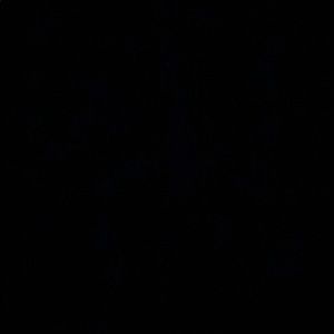 Meet your Posher, Cora